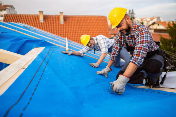 Best Roof Gutter Cleaning  in Splendora, TX