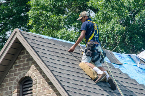 Best Storm Damage Roof Repair  in Splendora, TX
